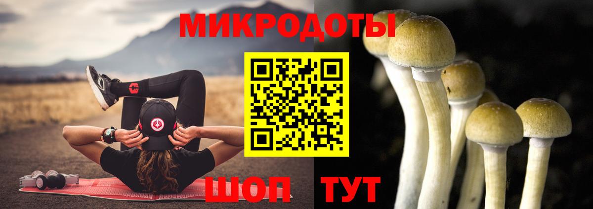 Галлюциногенные грибы Cubensis  Вход с VPN  Псилоцибиновые грибы Psilocybine cubensis  цена наркотик  Шебекино 