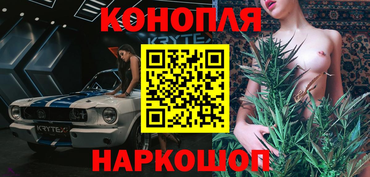 Конопля гибрид Шебекино